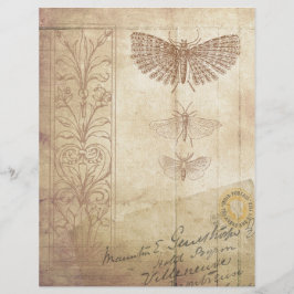 Skrapbok Ephemera vintage Stil