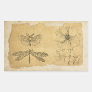 Skrapbok för vintage Parchment Collage Rektangulärt Klistermärke