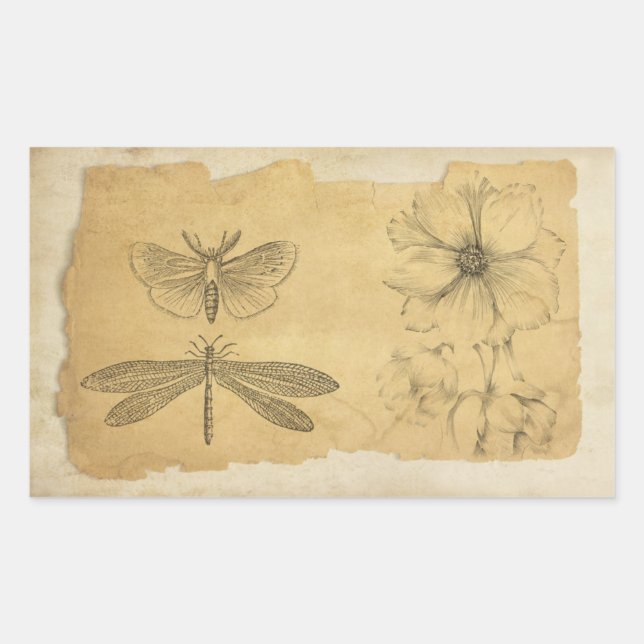 Skrapbok för vintage Parchment Collage Rektangulärt Klistermärke (Framsida)