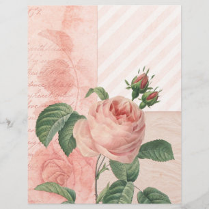 Skrapbok för vintage Rosa ros Papper