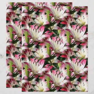 Skrapbok för vit Lily Flower Nature Mönster