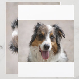 Skrapbok med dubbelsidig australian shepherd
