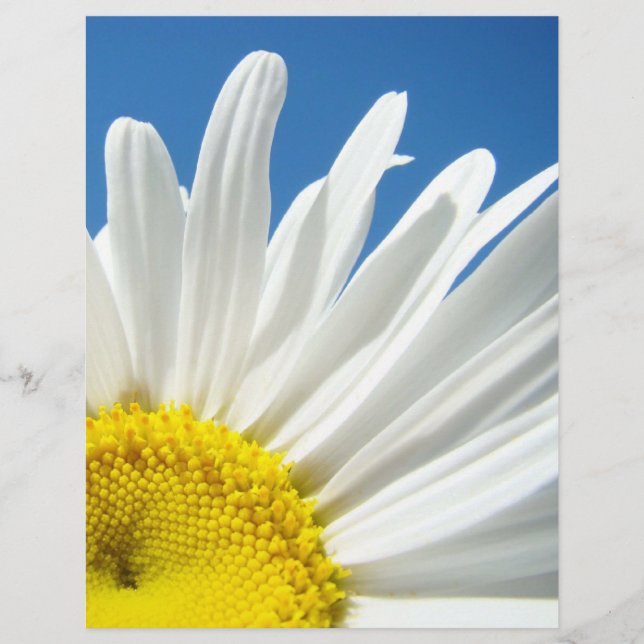 Skrapbok tema papper Blommig Vit Tusenskönor Blomm (Framsida)