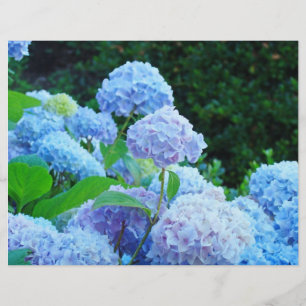 Skrapbokspapper Blå Hortensia Blommor Trädgård