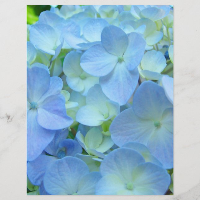 Skrapbokspapper Blommotiv Blå Hortensior (Framsida)