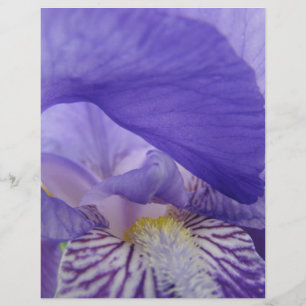 Skrapbokspapper Lila Iris Blommor Irisar Blommig