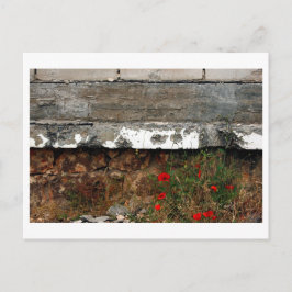 Skrapel och vallmo, Sarajevo Vykort