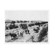 Skrapning av Arizona-kanalen