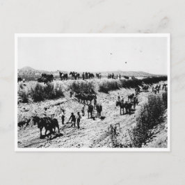 Skrapning av Arizona-kanalen Vykort