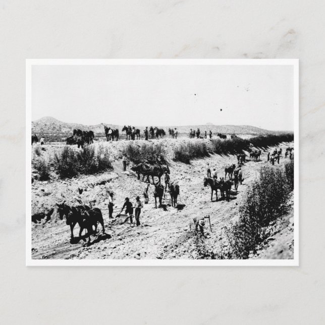 Skrapning av Arizona-kanalen Vykort (Framsida)