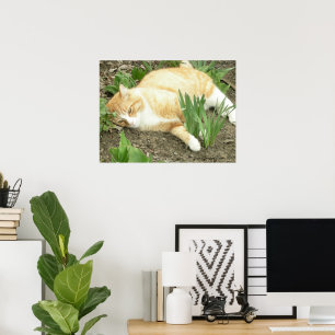 Skrapning i trädgården poster