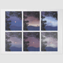 Skräppost Journal Älva Himmel Måne Träd Fantasy 1-