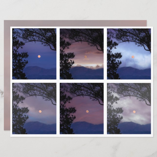 Skräppost Journal Älva Himmel Måne Träd Fantasy 1- (Fram/baksida)