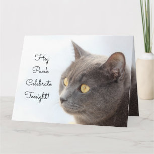 Skräppost med spunk kort