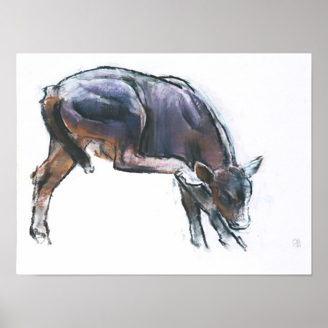 Skratchkalv 2006 poster (Framsidan)