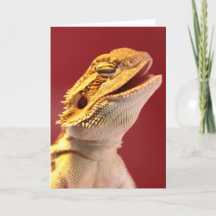 Skratta den skäggiga draken kort