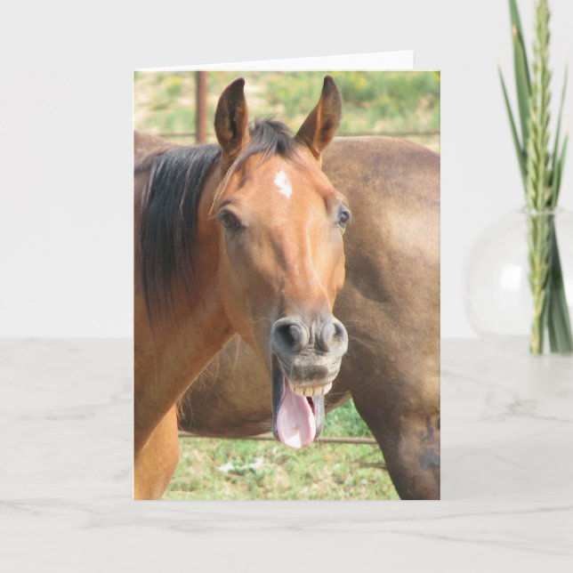 Skratta hästen kort (Framsida)