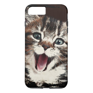 Skratta katten