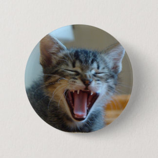 Skratta kattungen knapp