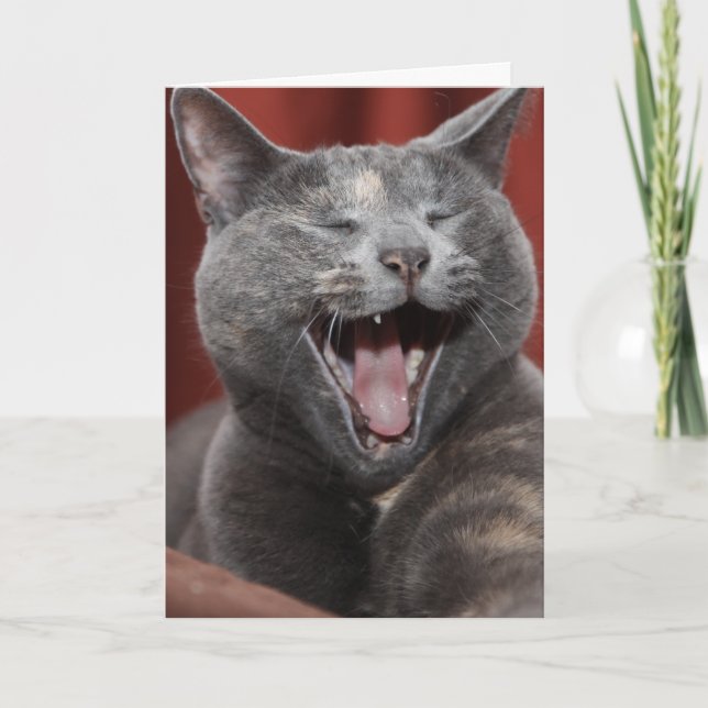 Skratta! Kort (Framsida)