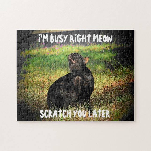 Skratta senare pussel (Horisontell)