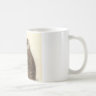 Skratta ugglavintageillustrationen kaffemugg