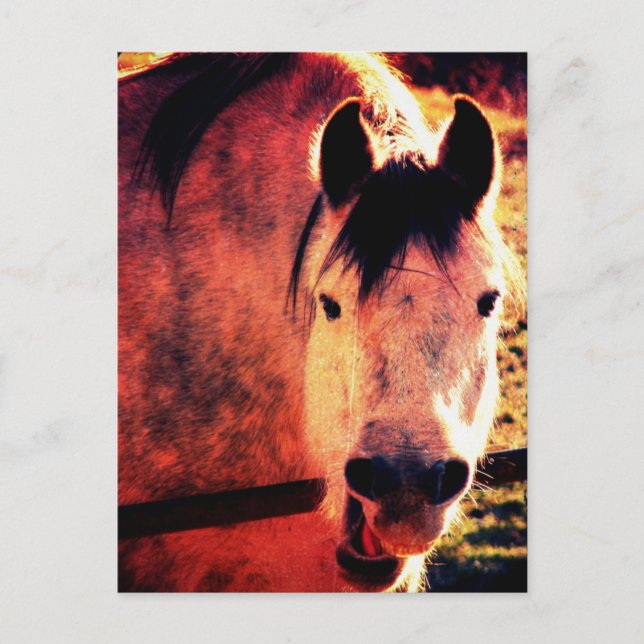 Skratta Vykort (Framsida)