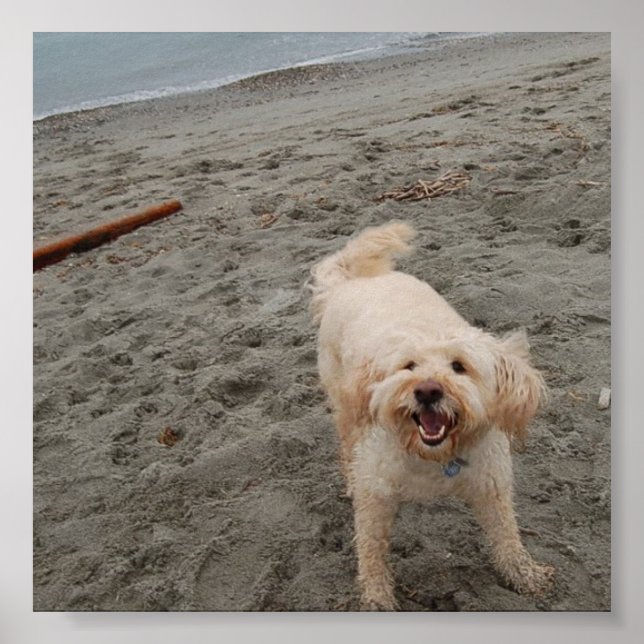 skrattande 2 poster (Framsidan)