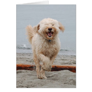 skrattande hälsningskort