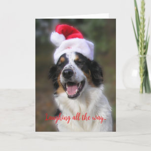 "Skrattar hela vägen..." Kort