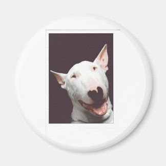 skrattretande magnet