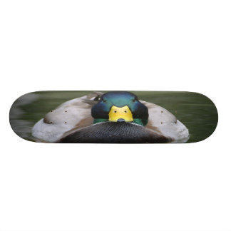 skridsko för anka 2 skateboard bräda 20 cm