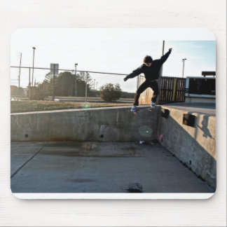 skridskon stiger ombord musen vadderar musmatta