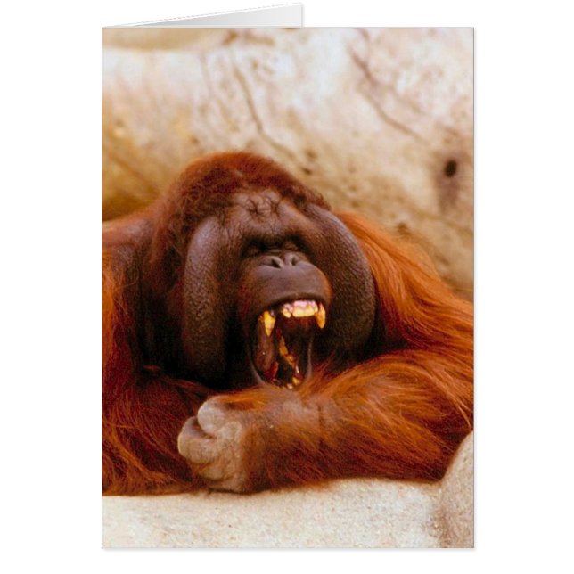 Skrika för apa hälsningskort (Framsidan)