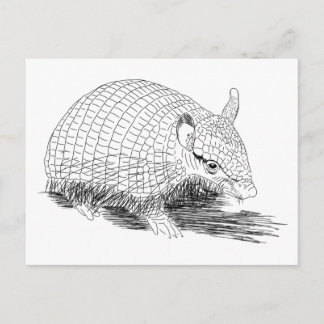Skrikande hårig armadillo vykort