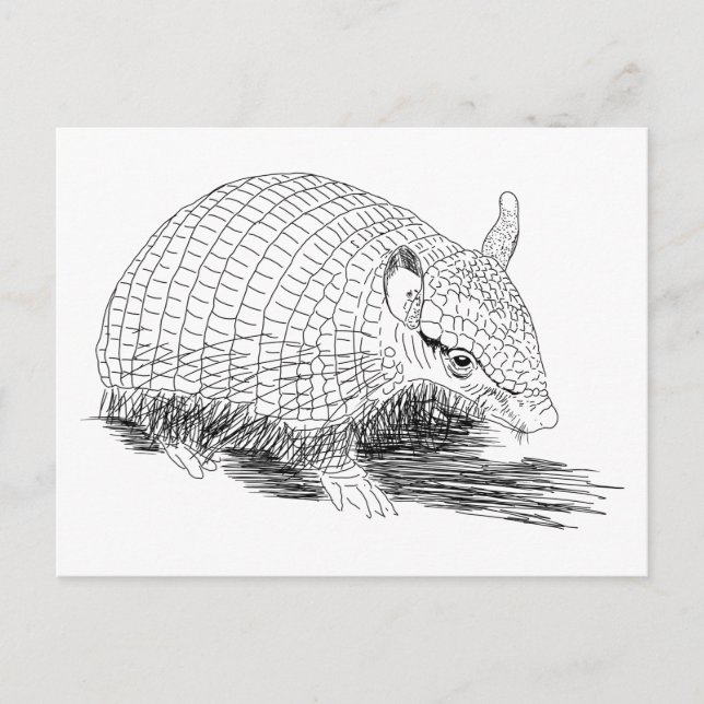Skrikande hårig armadillo vykort (Framsida)