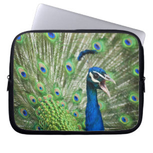 Skrikig påfågel laptop sleeve