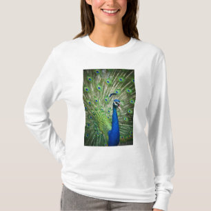 Skrikig påfågel t shirt