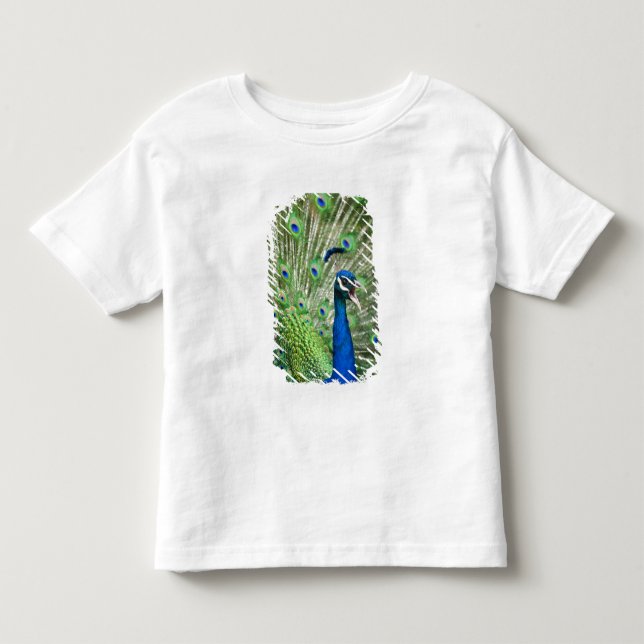Skrikig påfågel tee shirt (Framsida)