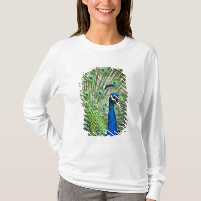 Skrikig påfågel tee shirt (Framsida)