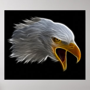 Skrikigt amerikanörnhuvud poster