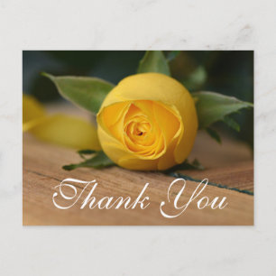 Skript Gul ros - tackkort Vykort