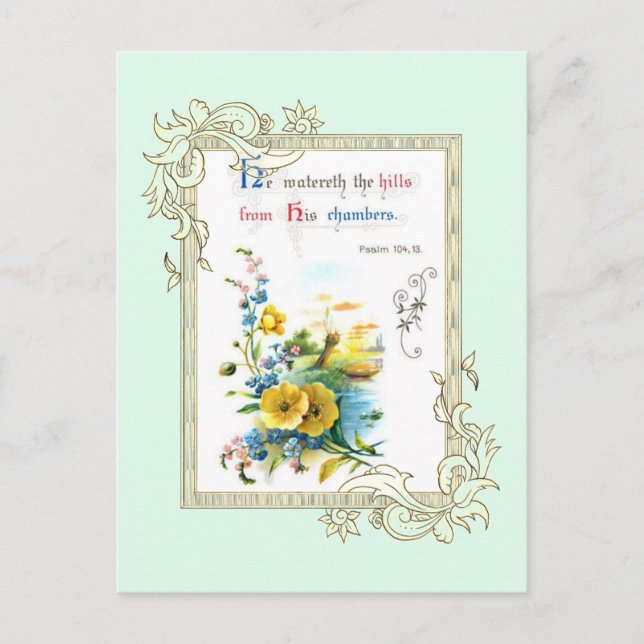 Skript och blommor vykort (Framsida)