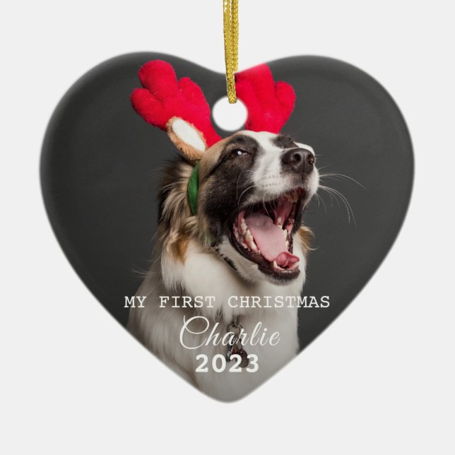 Skriptet Pet Hund First jul Photos Ornament (Framsidan)