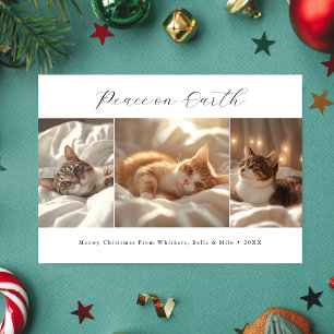 Skriptfred på jorden Meowy Jul Cat Photo Julkort
