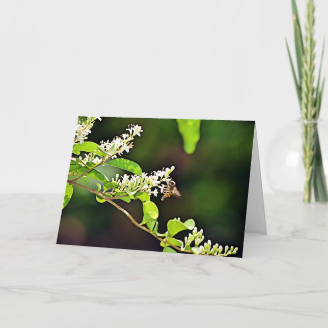 Skriptkort för bi Blommar 119:103 Kort (Framsida)