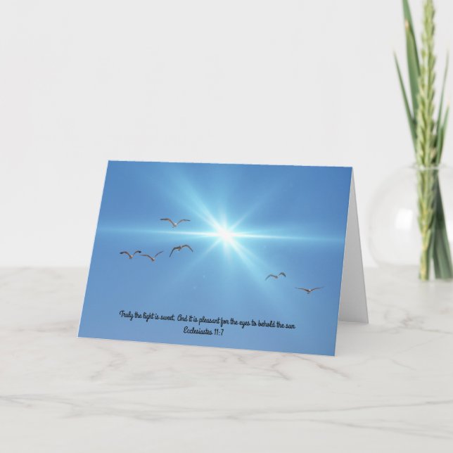 Skriptkortskort i fiskmåsar Sol 11:7 Kort (Framsida)