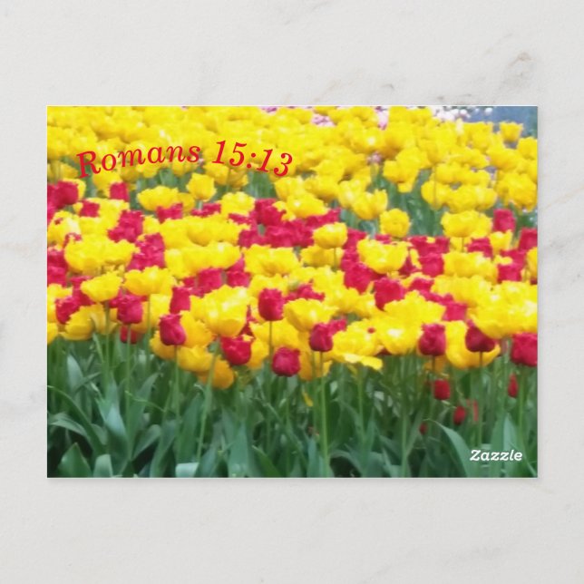 Skriptmeditationskort Romarna 15:13 Vykort (Baksida)