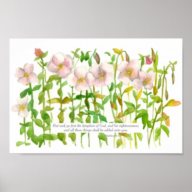 Skriptthew 6:33 Bible Verse Primrose Flower Poster (Framsidan)