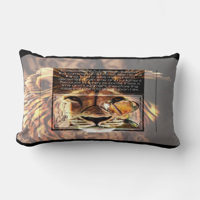 Skriptur Bilder 01 Lumbarkudde (Framsida)